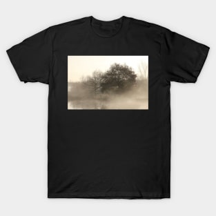 Lake, autumn mood, ground fog, hoarfrost, trees, landscape, Fischerhude, Lower Saxony, Germany T-Shirt